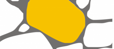 igneo