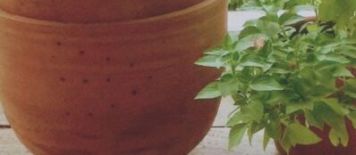 Tropico-Compost-logo
