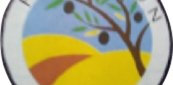 Imagen-1