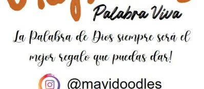 cajas-copia