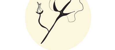 Logo-jaba-y-jate-CIE-Unimagdalena