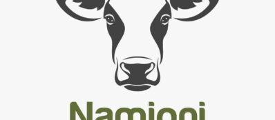 Namigni