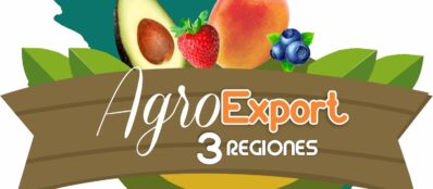Agro export - Gladys Quiroz - Wichay Continental, Incubadora de Negocios
