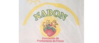 Aso. de Producción de Fresas Nabón - JESSICA GABRIELA ARPI CHICAIZA