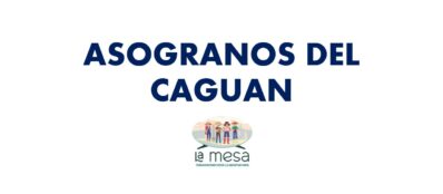 ASOGRANOS DEL CAGUAN - yineth quintero