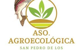 Agroecológica San Pedro - PEDRO FABIAN MORA PACHECO