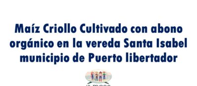 LOGOS CASOS INSPIRADORES(1) - Yuliana Santos Anaya