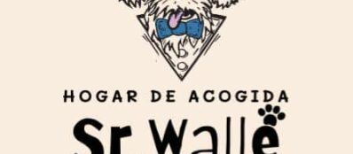 Logo Sr Walle - PEDRO FABIAN MORA PACHECO