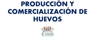 PRODUCCION Y COMERCIALIZACION DE HUEVOS - yineth quintero