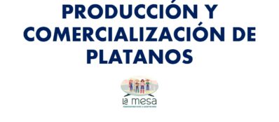 PRODUCCIÓN Y COMERCIALIZACIÓN DE PLATANO - yineth quintero