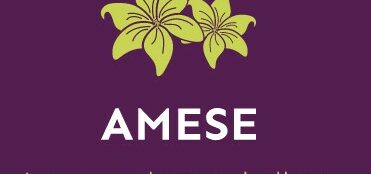 amese - PEDRO FABIAN MORA PACHECO