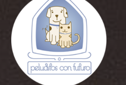 peluditos con futuro - Carolina Correa