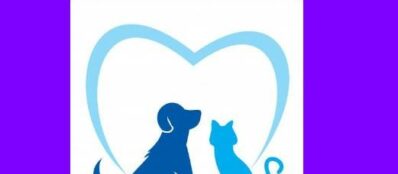 A&L Pet shop - Lorena Puicon