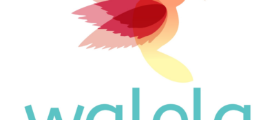 Logo-Walela-Nolvys-Yuseff