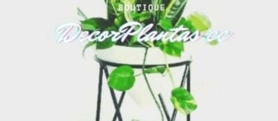 Logo decorplantas - Kedwin Fernandez