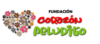 fundacion Corazon peludito - Carolina Correa