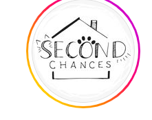 second chances - Carolina Correa